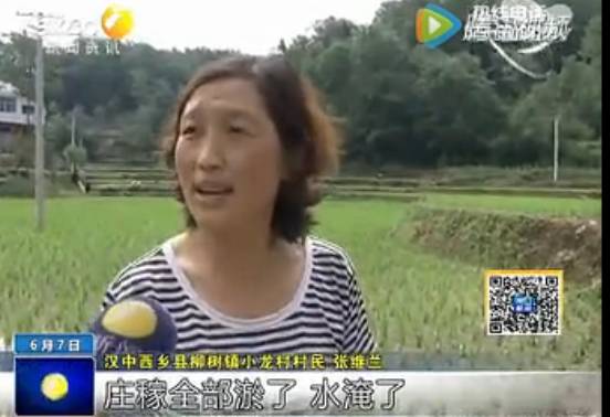 西乡柳镇两小时降水超百毫米(视频)