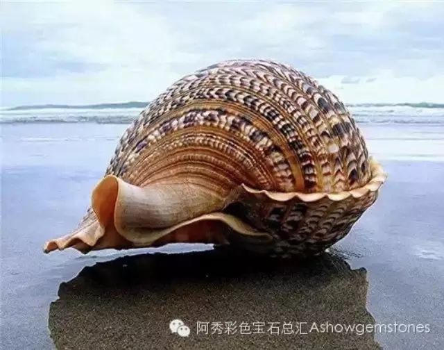 广西有多个中职学校排名-职高学校在线报名-高职学校招生