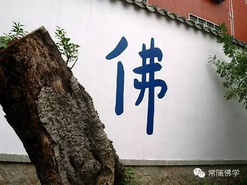 ���������������ʲô������ʲô��