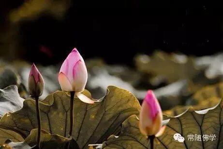 �������Ǳ�������_������Ȼ����