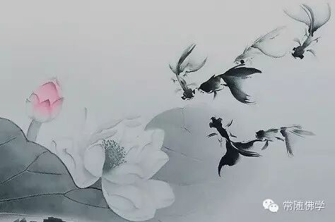 ��Ե�ܱȽ�Թ��