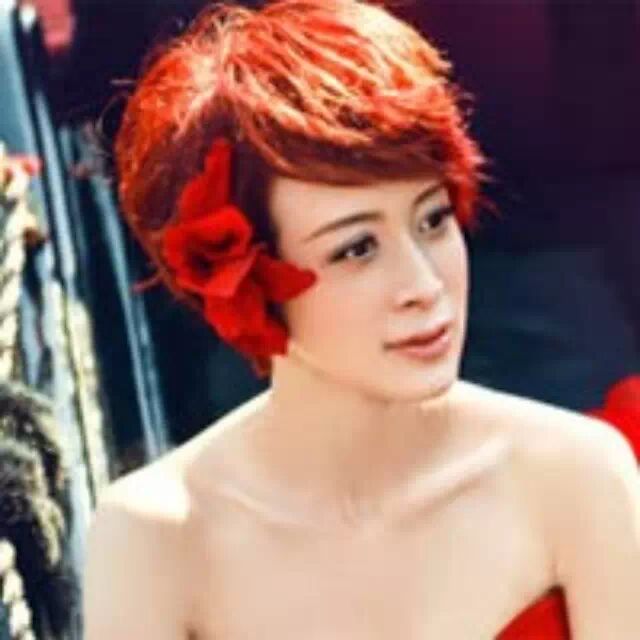 金巧巧:红地毯是蹭的,私人飞机也是蹭的