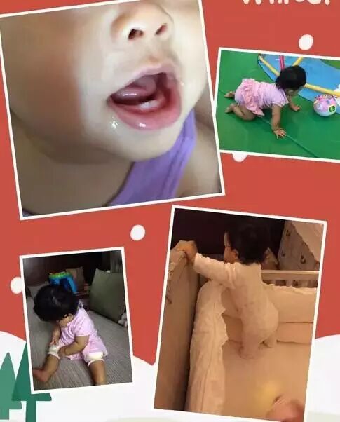 吴佩慈二胎儿子正面照曝光 为纪念过世爱犬取名＂汉斯＂-怀孕期