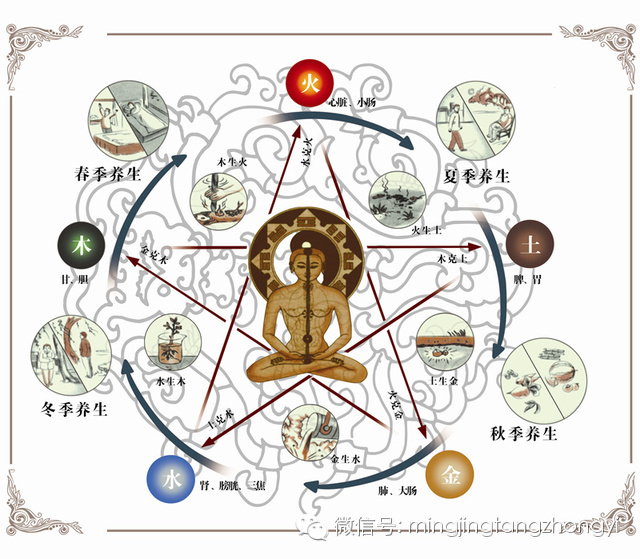 中医脏腑养生——五行药熨疗法