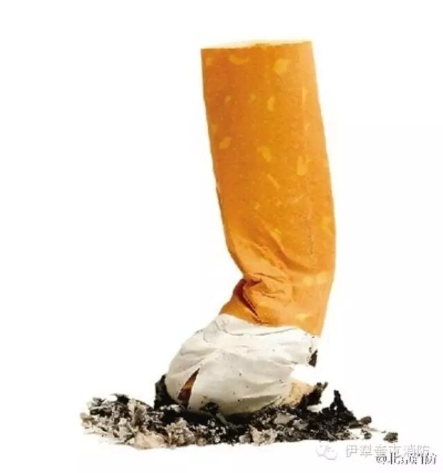 演艺圈老干部霍建华带你学消防