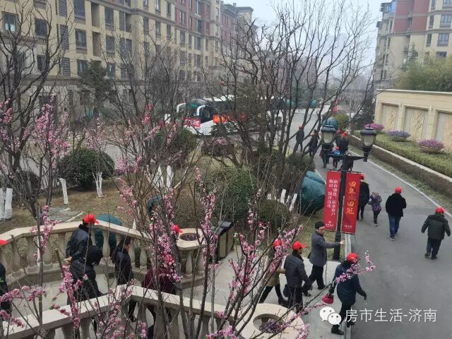 �ڷ�������̩��վ�߽������ɽ��