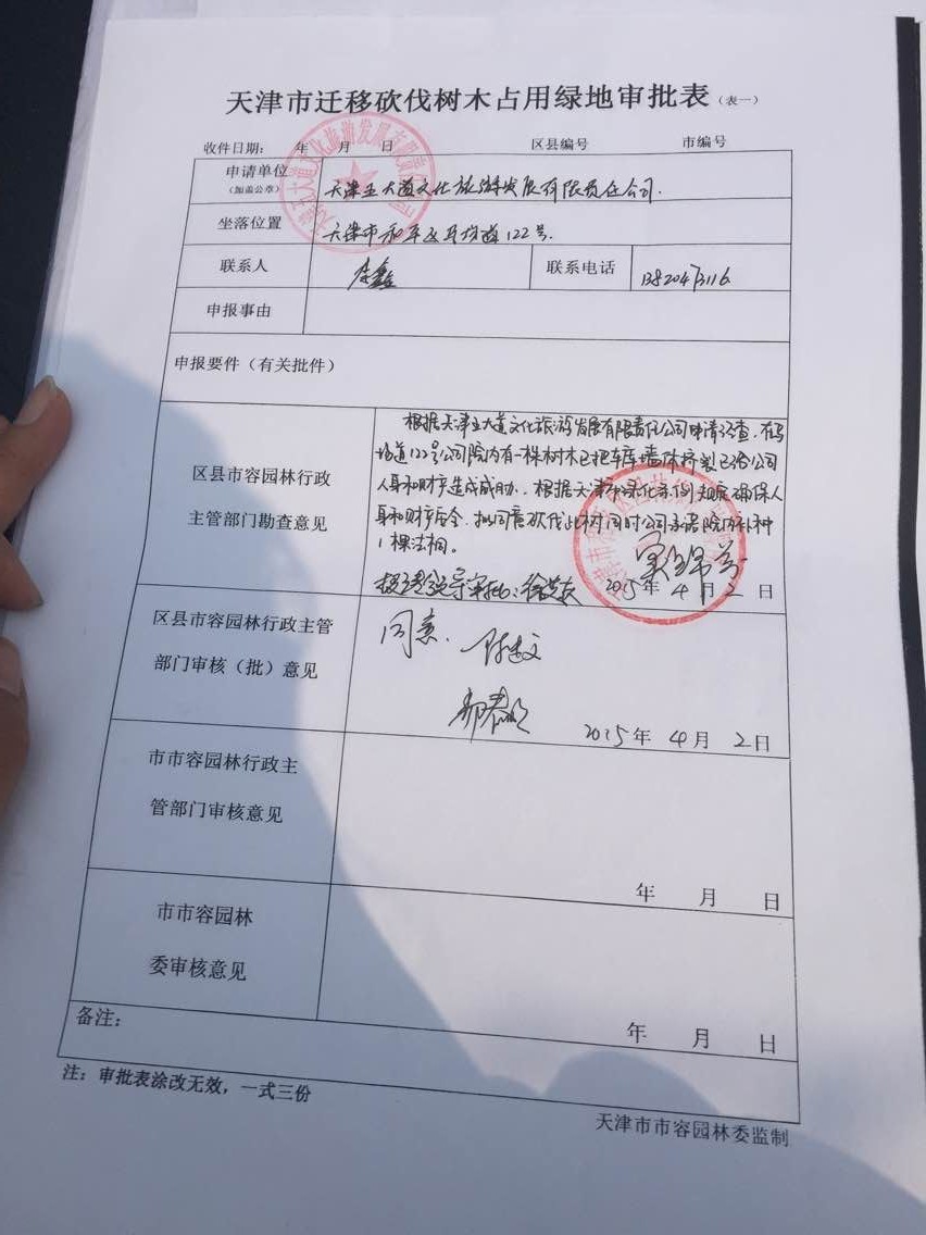 五大道砍树后续:有