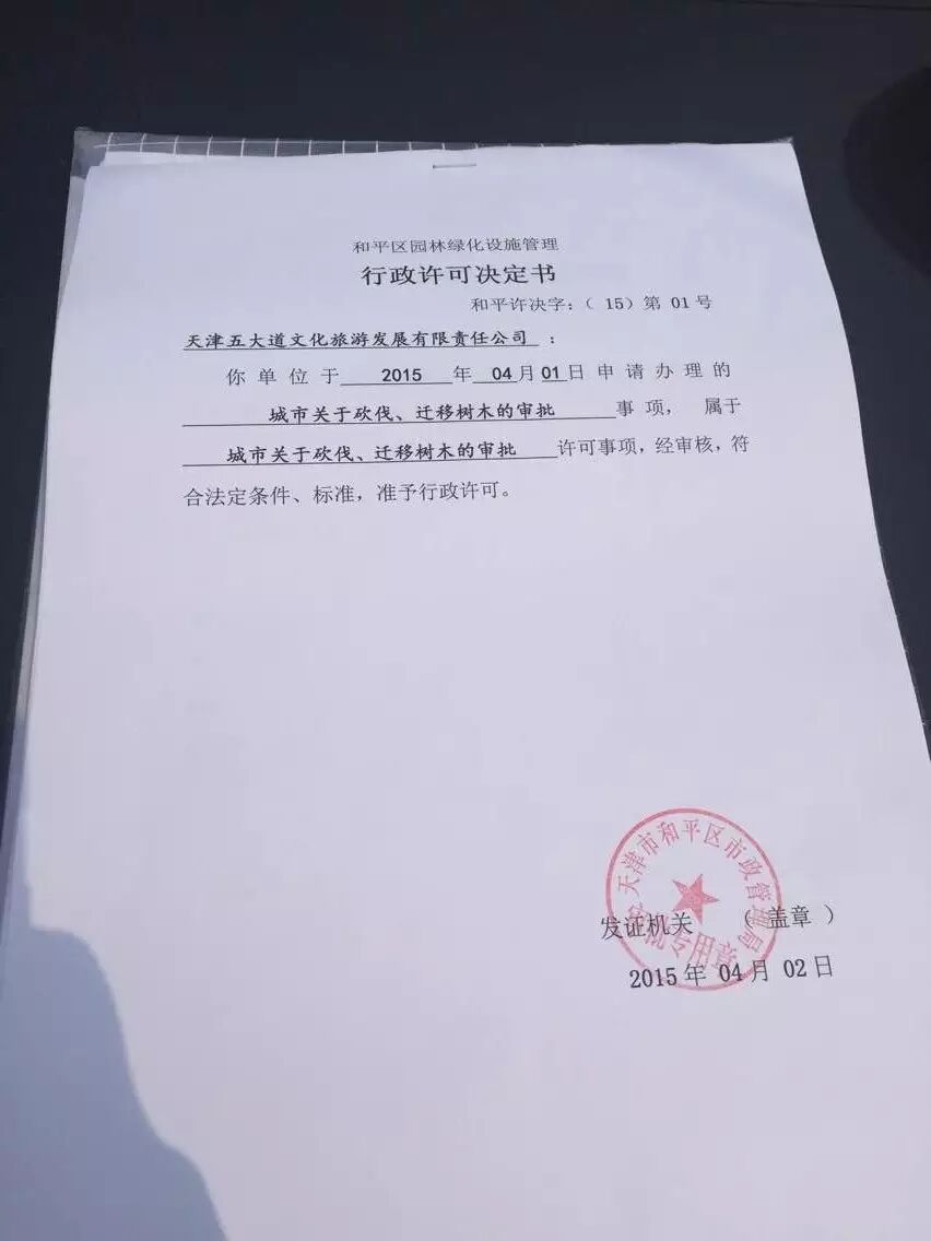 五大道砍树后续:有