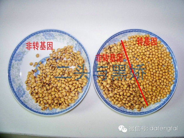 太吓人了,还能吃吗?快转发让更多人知道! 转发 - 斩云剑 - 斩云剑的博客 太吓人了,还能吃吗?快转发让更多人知道! 转发 - 斩云剑 - 斩云剑的博客