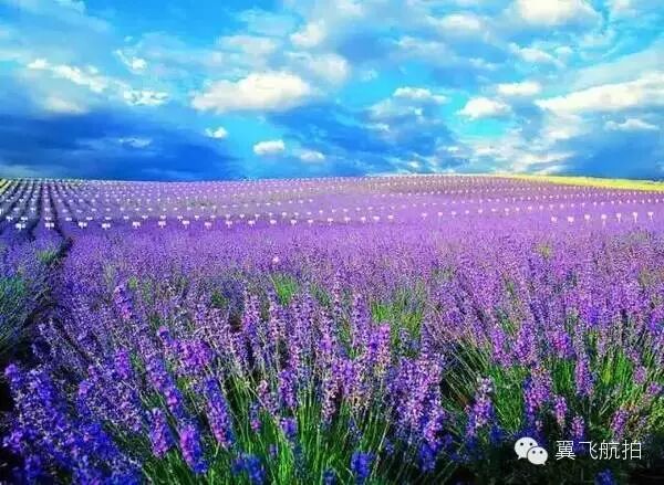 《哈爾濱+無人機》不管去哪里旅游你都需要一臺無人機 