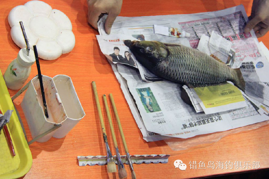 2014“错鱼岛杯”大连国际钓鱼宝贝大赛精彩回放，带给您精彩绝伦的视觉盛宴！！！85 / 作者:海洋大鲨鱼 / 帖子ID:101320