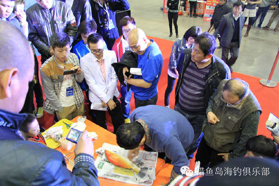 2014“错鱼岛杯”大连国际钓鱼宝贝大赛精彩回放，带给您精彩绝伦的视觉盛宴！！！826 / 作者:海洋大鲨鱼 / 帖子ID:101320