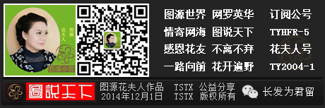 【花夫人即兴发言：李银河被辱骂国妖我不得不发声】 - 图源花夫人 - 图源花夫人