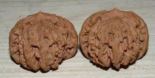 文玩核桃之这些都叫狮子头---文玩王三