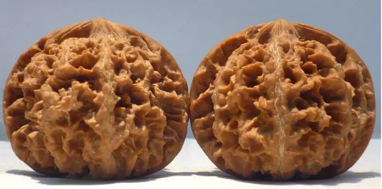 文玩核桃之这些都叫狮子头---文玩王三