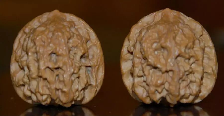 文玩核桃之这些都叫狮子头---文玩王三