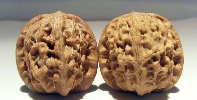 文玩核桃之这些都叫狮子头---文玩王三