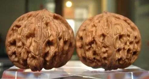 文玩核桃之这些都叫狮子头---文玩王三