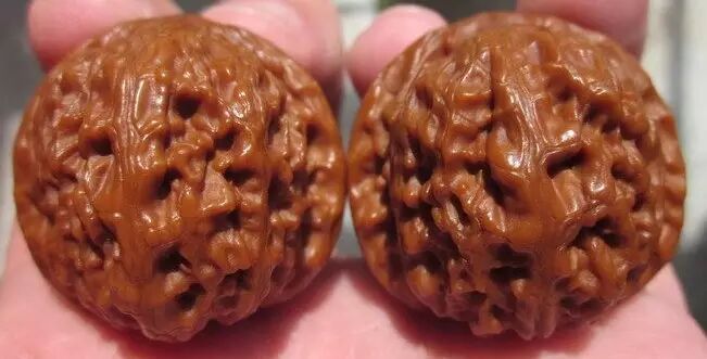 文玩核桃之这些都叫狮子头---文玩王三