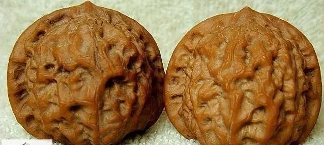 文玩核桃之这些都叫狮子头---文玩王三