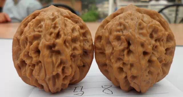 文玩核桃之这些都叫狮子头---文玩王三