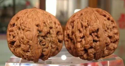 文玩核桃之这些都叫狮子头---文玩王三