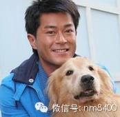 中国最帅男人前十名,古天乐第五,排第一竟是他