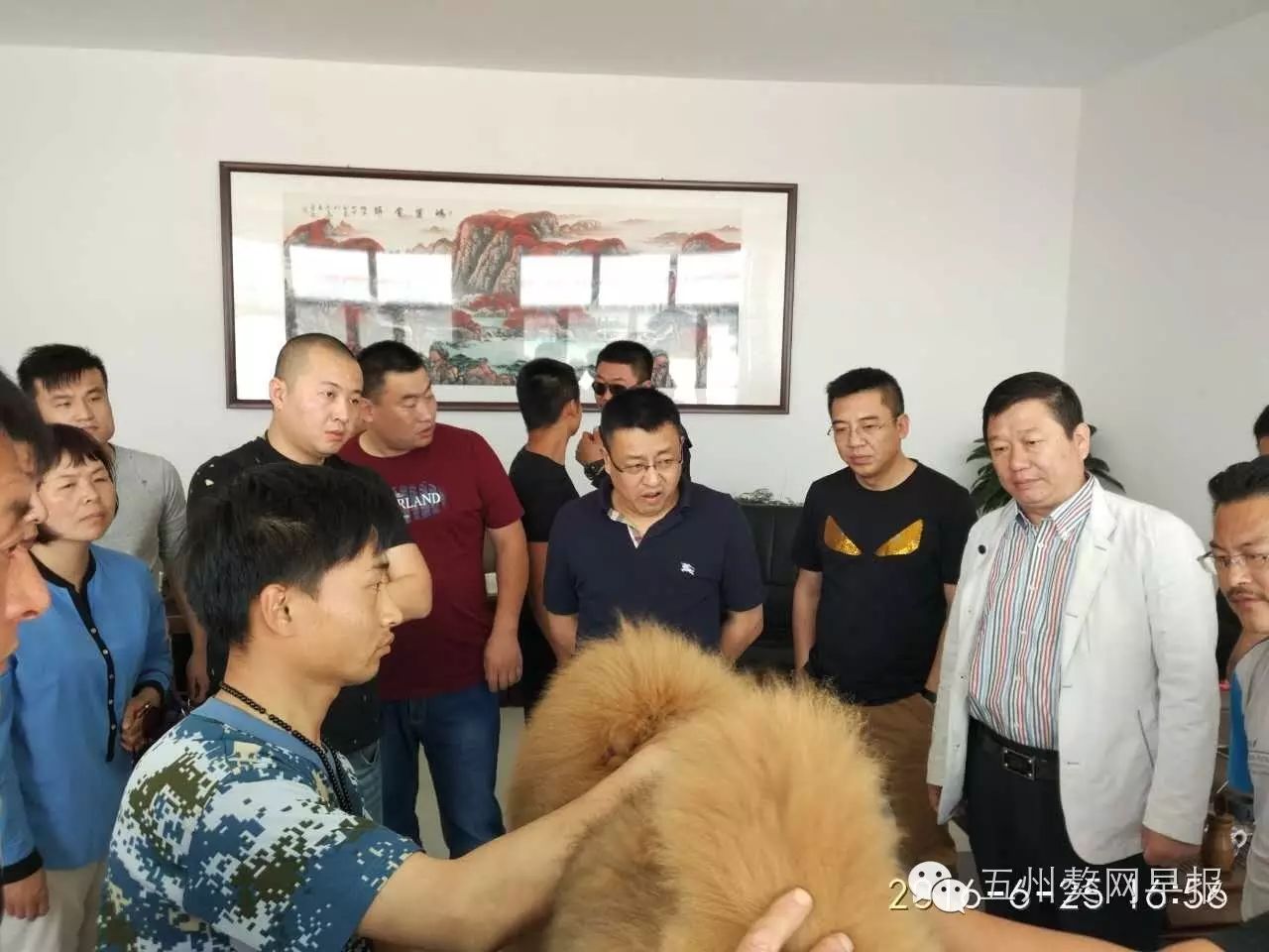 喜迎獒界大咖:中国黄山獒苑汪总,中国广兴獒业刘总,兰州鼎奇獒园周总