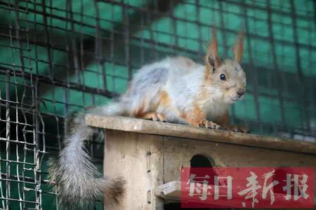 天津动物园来新动物了！基本已被萌翻