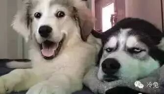 原来我跟吴亦凡比只差一点, 我叫吴亦几