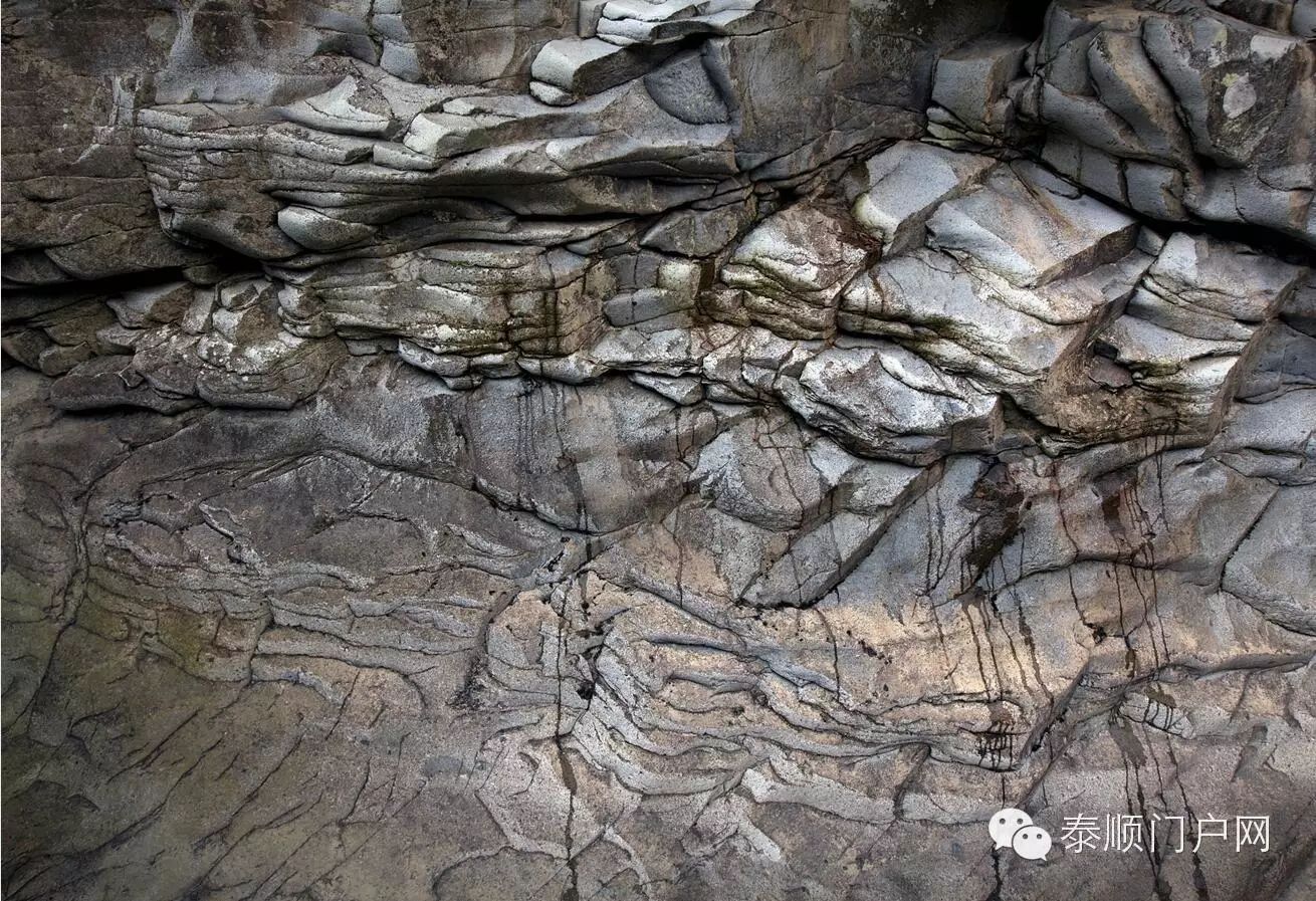 这里的岩层,层理构造千姿百态,有的呈波状弯曲,有的呈块状结构,有的呈