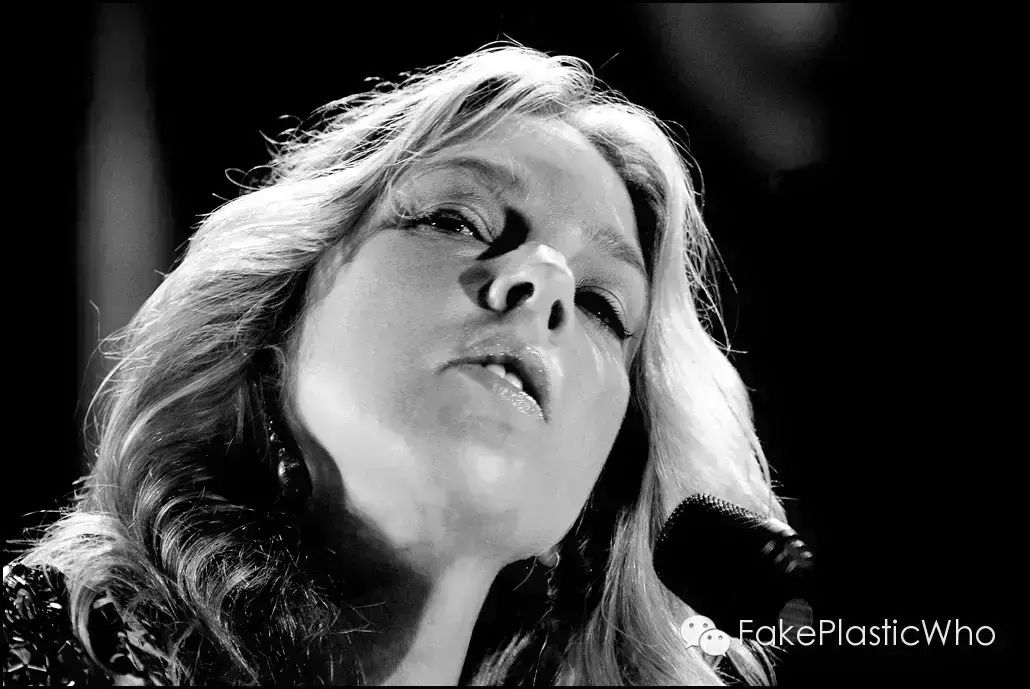深夜听歌  Diana Krall -《Temptation》
