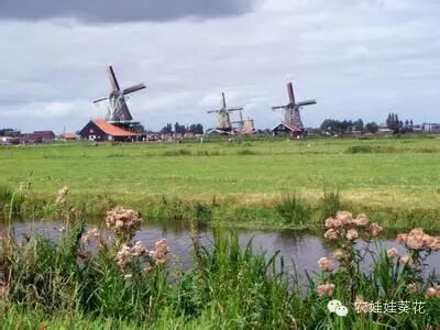 莫斯科人均绿地面积_人均土地面积(3)