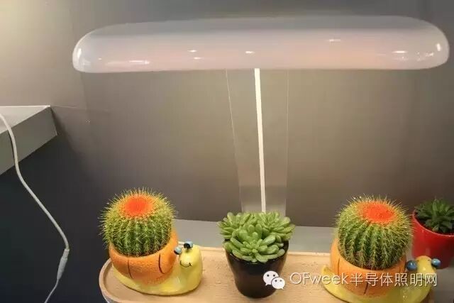 2016光亚展技术品牌大PK 哪家LED企业更博人眼球？