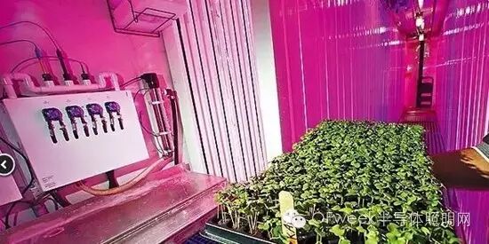 近期八种LED技术及应用 你更青睐哪种？