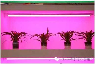 2016广州国际照明展不得不看的六大亮点