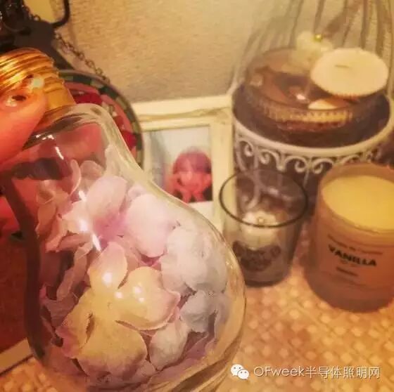 区区7块钱的破灯泡 在日本家饰界却成了香饽饽