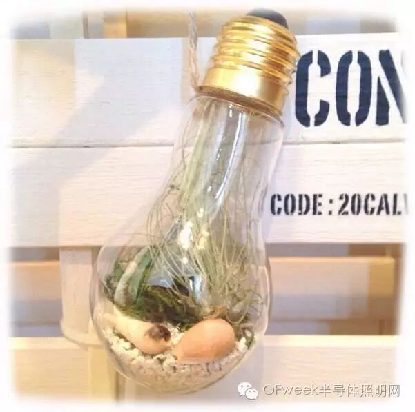 区区7块钱的破灯泡 在日本家饰界却成了香饽饽