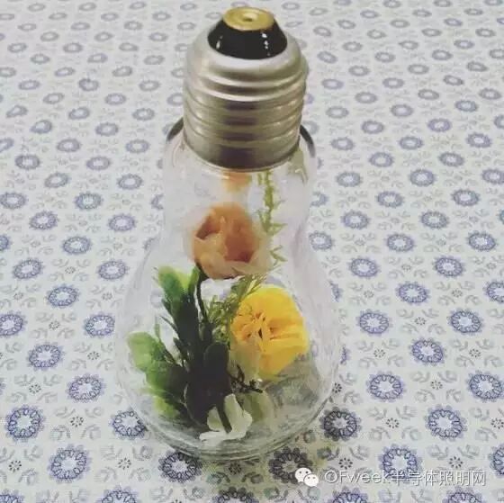 区区7块钱的破灯泡 在日本家饰界却成了香饽饽
