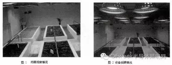 关于LED植物照明工厂智能补光系统的探讨