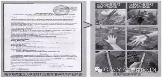 关于LED植物照明工厂智能补光系统的探讨