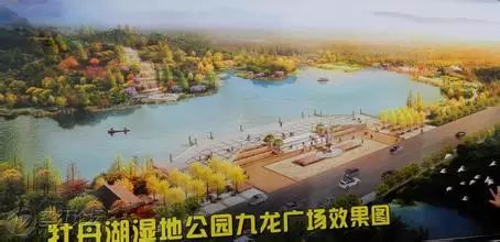 【网民看垫江】跟着小编一起环游垫江城市湿地公园牡丹湖