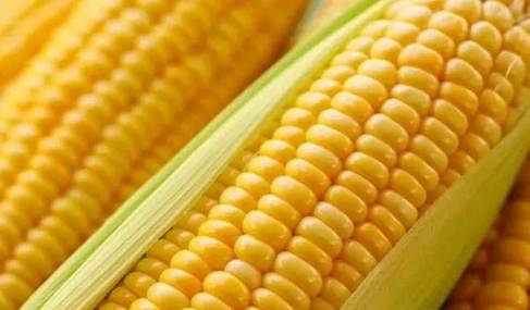 �f�f�]�뵽������Ȼ�����@������ÿһ�Ӷ����¼��ܣ�