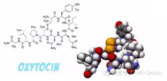 怀孕带来神奇变化的背后