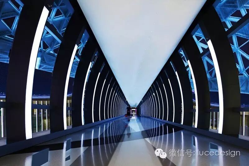 浮光蝶影 • 暗香袭人