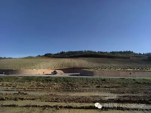 自然和人的对话