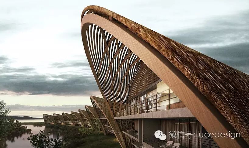 曲线柔美的蓝宝石！