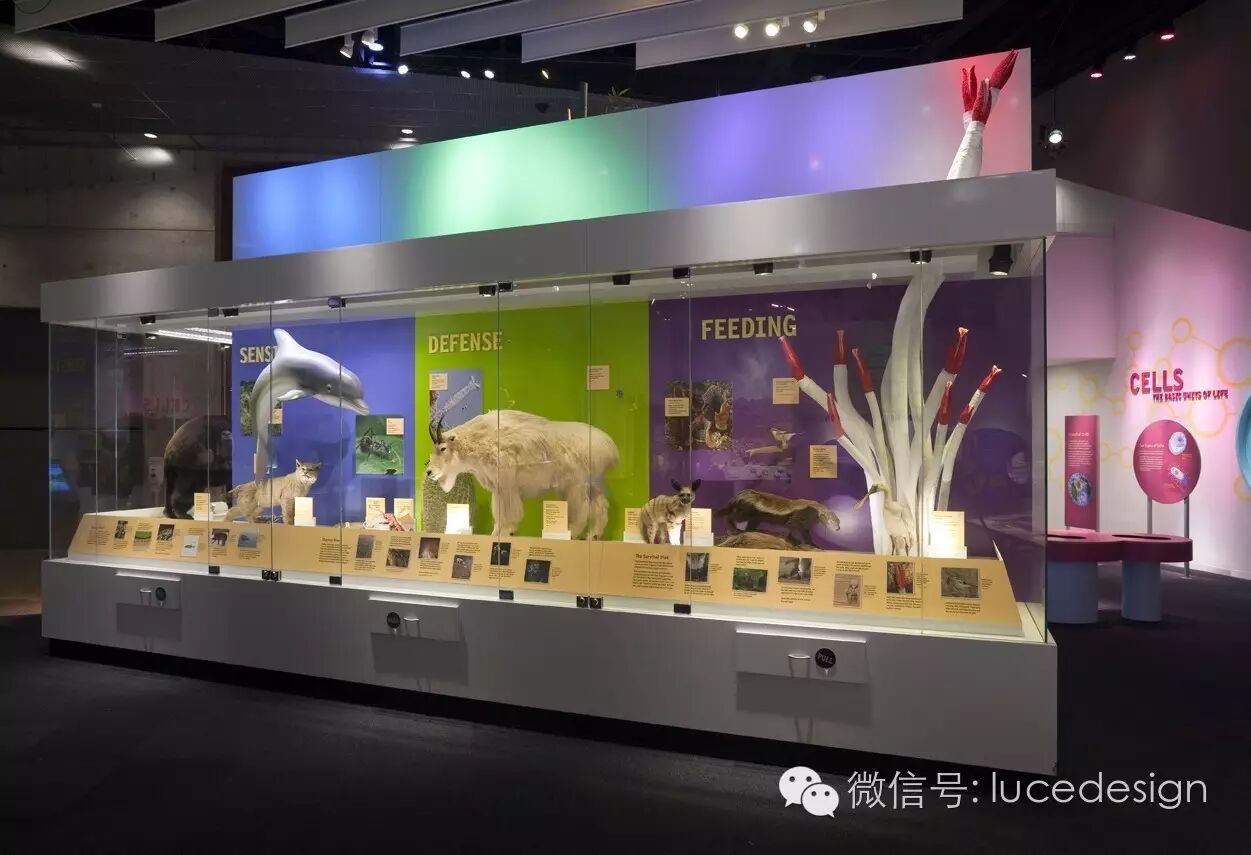 从剧场到博物馆