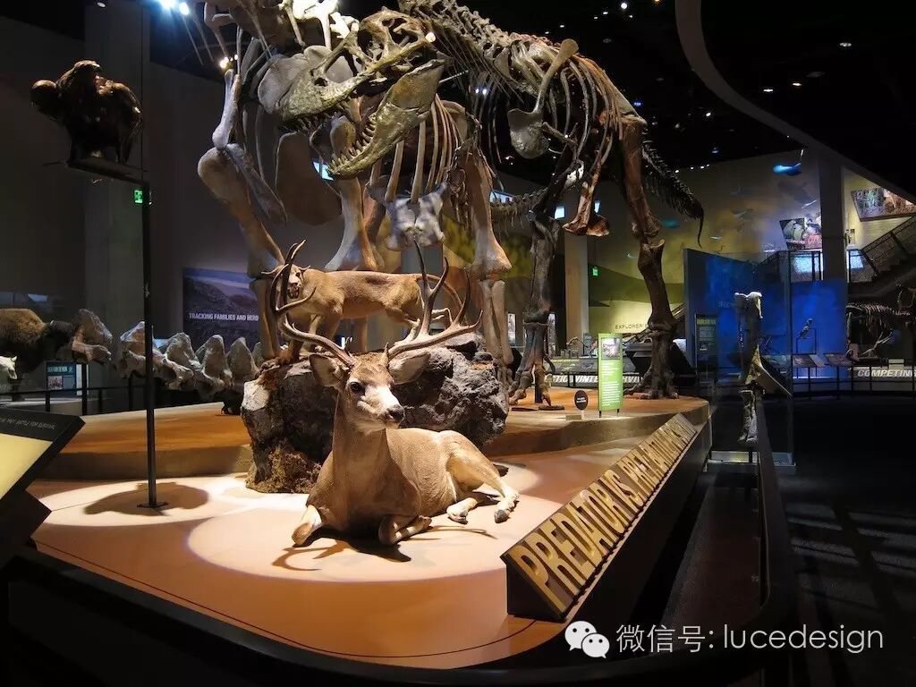 从剧场到博物馆