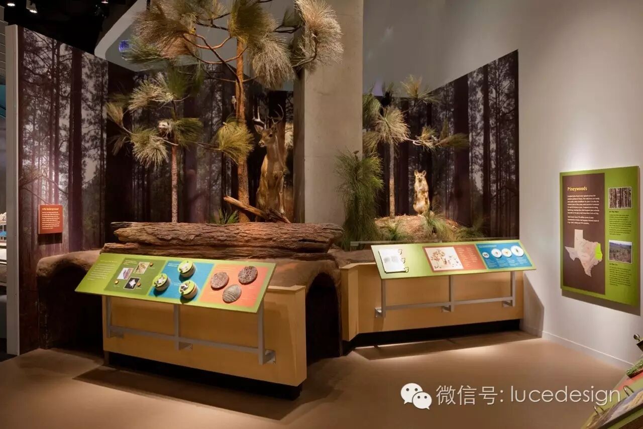 从剧场到博物馆